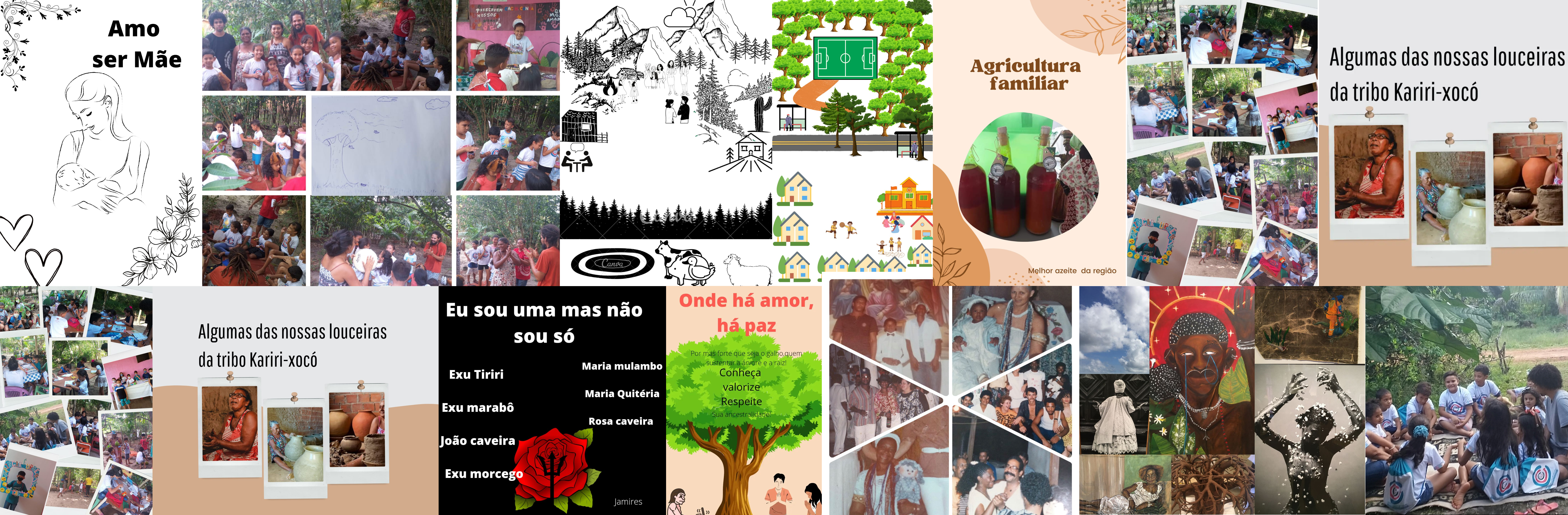 Colagem de fotos das atividades do projeto